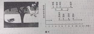 2015年新疆成人高考高起点「历史地理」真题及答案解析