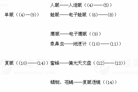 【南京成人高考】复习资料语文--第十九篇  眼睛与仿生学