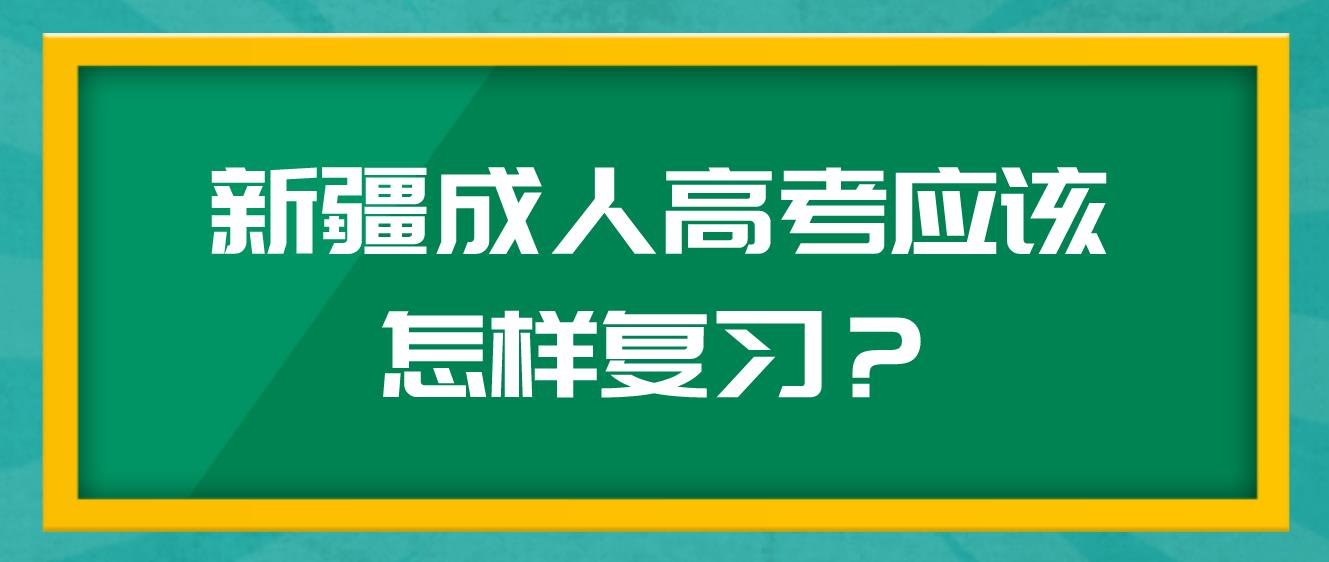 新疆成人高考应该怎样复习？