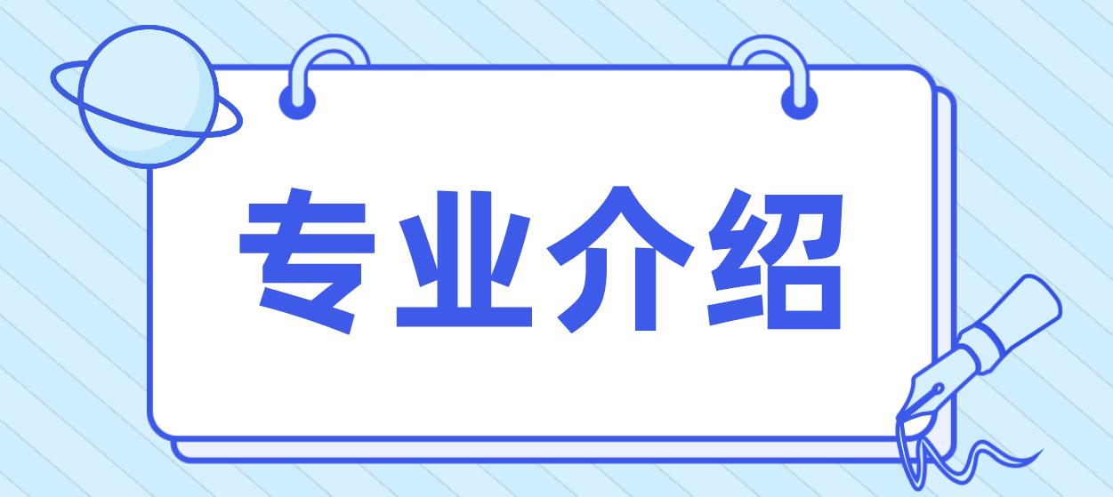 2023年新疆成考专升本《舞蹈表演》专业详细介绍