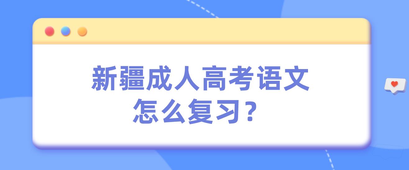 新疆成人高考语文怎么复习？