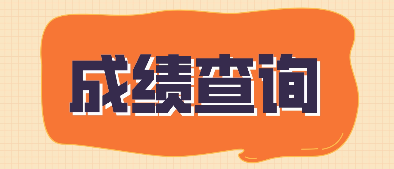 2024年新疆成人高考考生成绩如何查询？