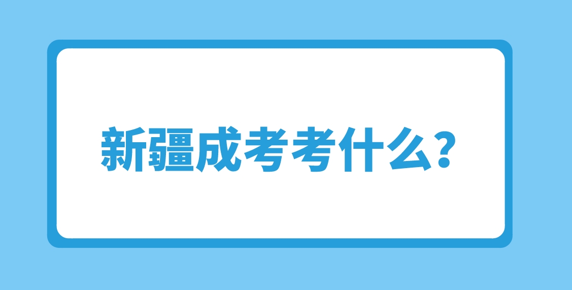 新疆成考考什么？