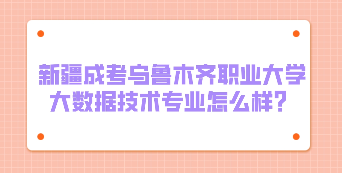 新疆成考乌鲁木齐职业大学大数据技术专业怎么样？