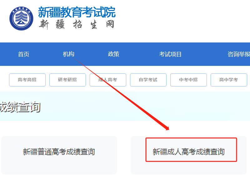 2024年新疆成人高考考生成绩如何查询？