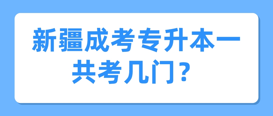 新疆成考专升本一共考几门？